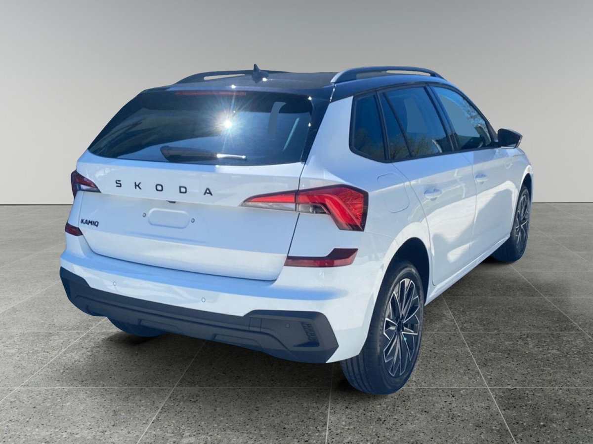 Skoda Kamiq 1.0 tsi Be More 95cv (6)