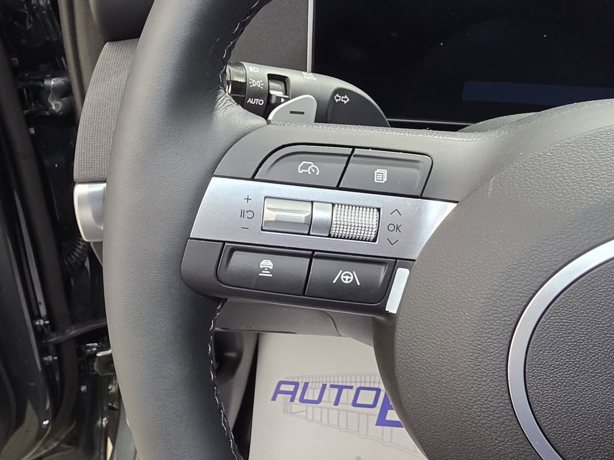 Hyundai Tucson 1.6 hev Exellence 2wd 239cv auto (19)