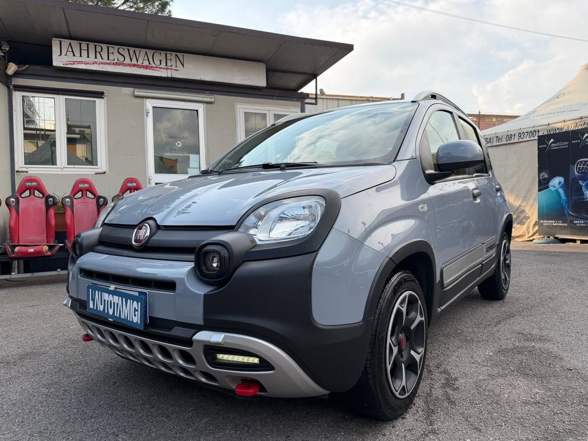 Fiat Panda Cross Cross 1.0 FireFly S&S Hybrid (2)