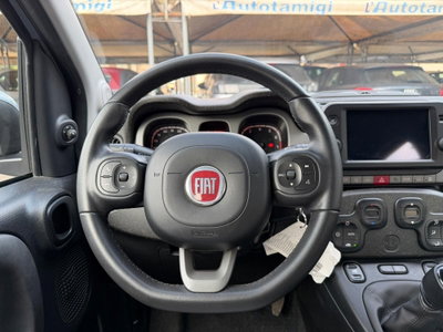 Fiat Panda Cross Cross 1.0 FireFly S&S Hybrid (8)