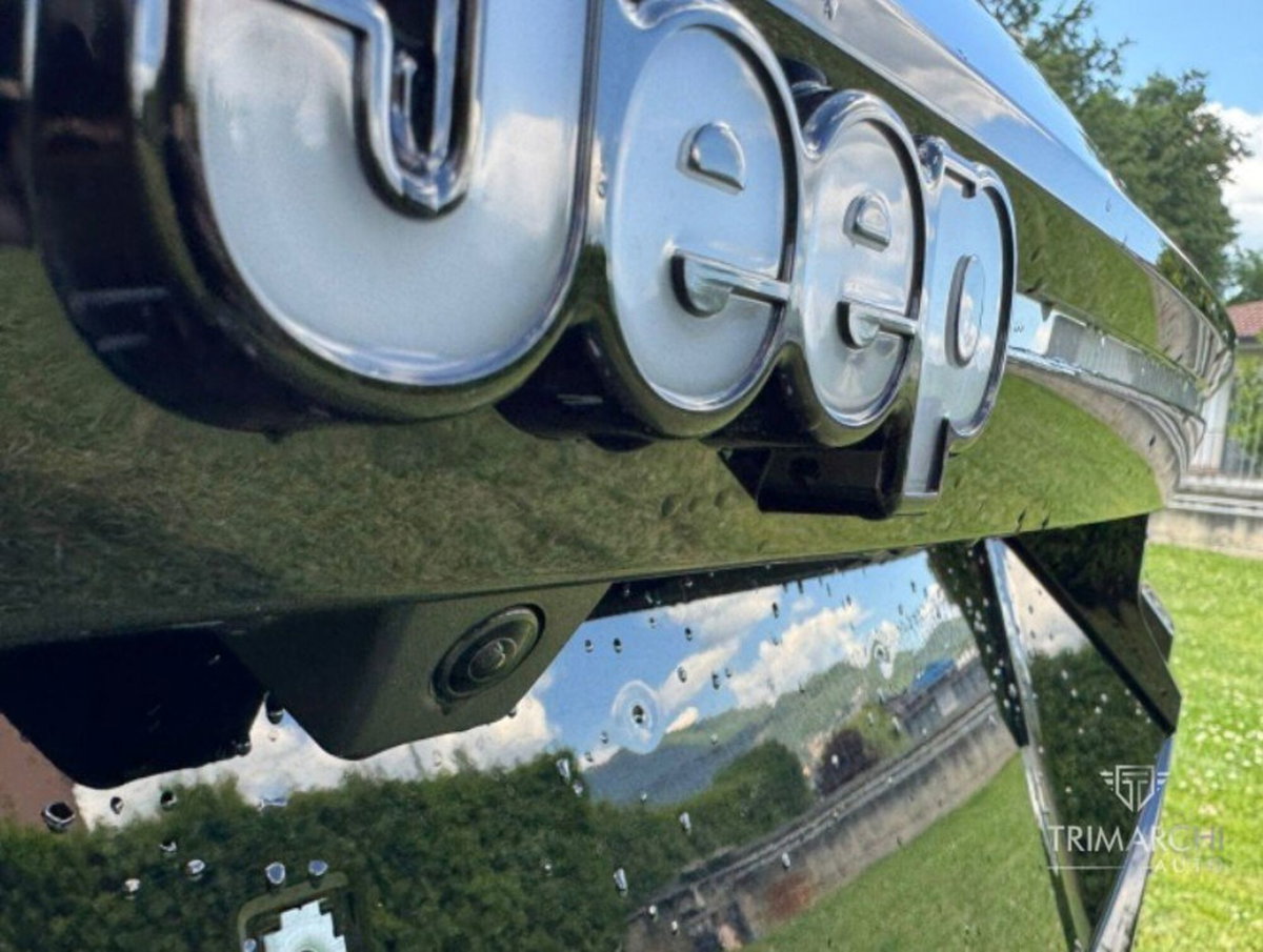 Jeep Compass 1.6 turbo e-hybrid phev Business fwd 225cv edct7 (19)