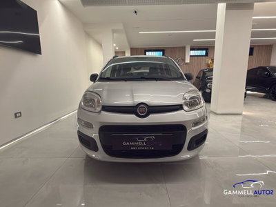 Fiat Panda 1.2 Easy (2)