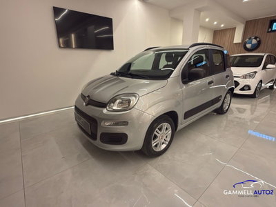 Fiat Panda 1.2 Easy (8)