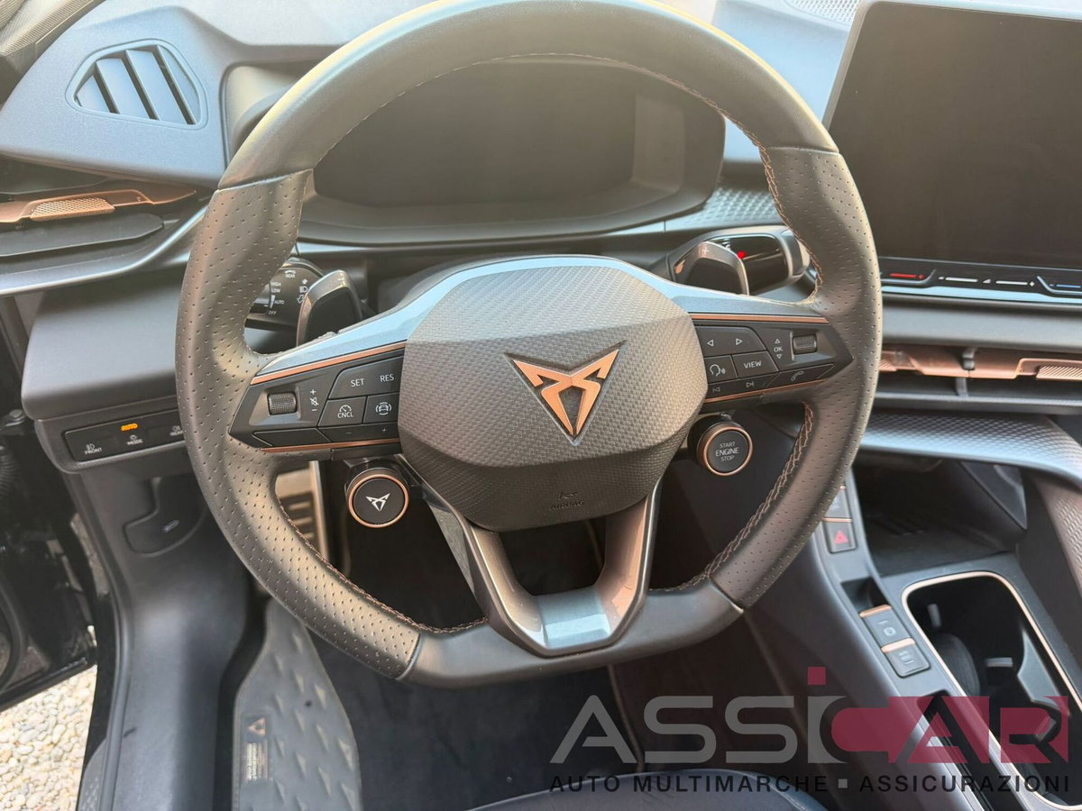 Cupra Terramar 1.5 hybrid 150cv dsg (12)