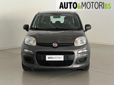 Fiat Panda 1.0 firefly hybrid s&s 70cv 5p.ti (2)