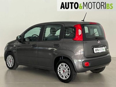 Fiat Panda 1.0 firefly hybrid s&s 70cv 5p.ti (6)