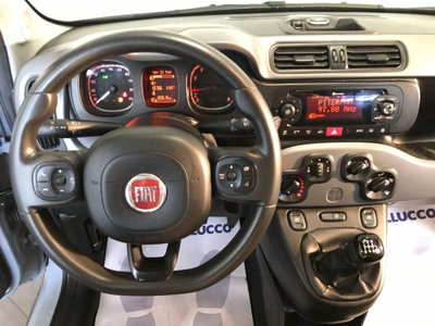 Fiat Panda 1.0 FireFly S&S Hybrid City Cross (7)