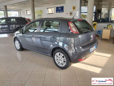 Fiat Punto 1.2 8V 5 porte Easy (5)