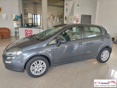 Fiat Punto 1.2 8V 5 porte Easy (6)