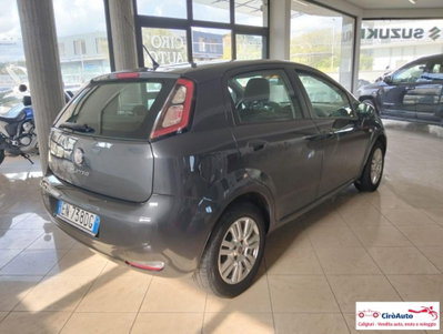 Fiat Punto 1.2 8V 5 porte Easy (7)