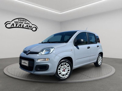 Fiat Panda 1.2 Lounge usata