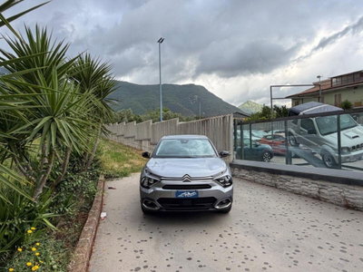 Citroen C4 PureTech 130 S&S Shine (3)