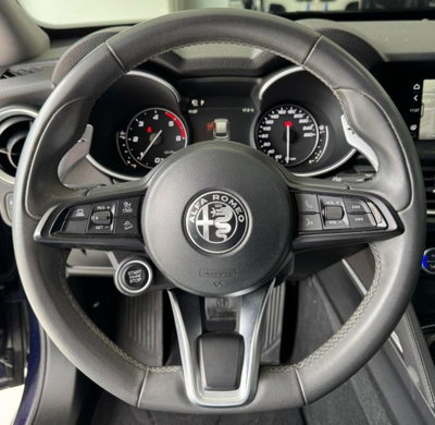 Alfa Romeo Stelvio Stelvio 2.2 Turbodiesel 160 CV AT8 RWD Sprint (14)