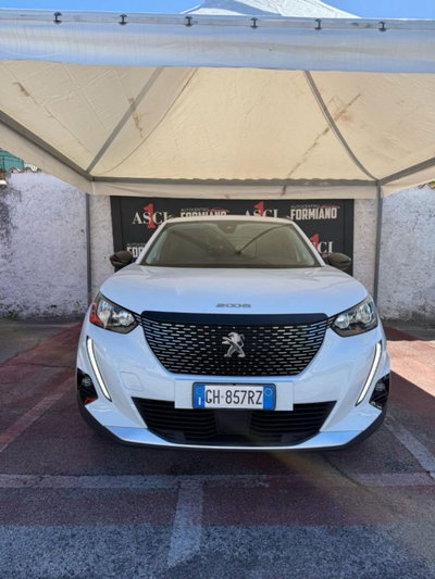 Peugeot 2008 PureTech 100 S&S Active (2)