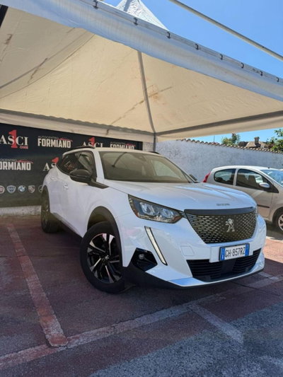 Peugeot 2008 PureTech 100 S&S Active (3)