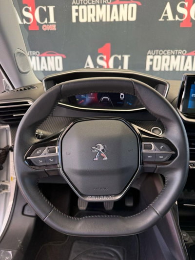 Peugeot 2008 PureTech 100 S&S Active (8)
