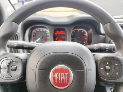 Fiat Panda 1.0 FireFly S&S Hybrid City Cross (8)
