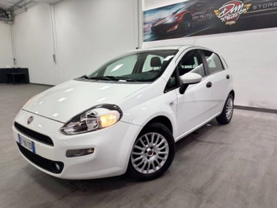 Fiat Punto 1.3 MJT 75CV 5 porte Van Pop 4 posti (2)