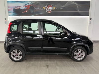 Fiat Panda 0.9 TwinAir Turbo S&S 4x4 (4)