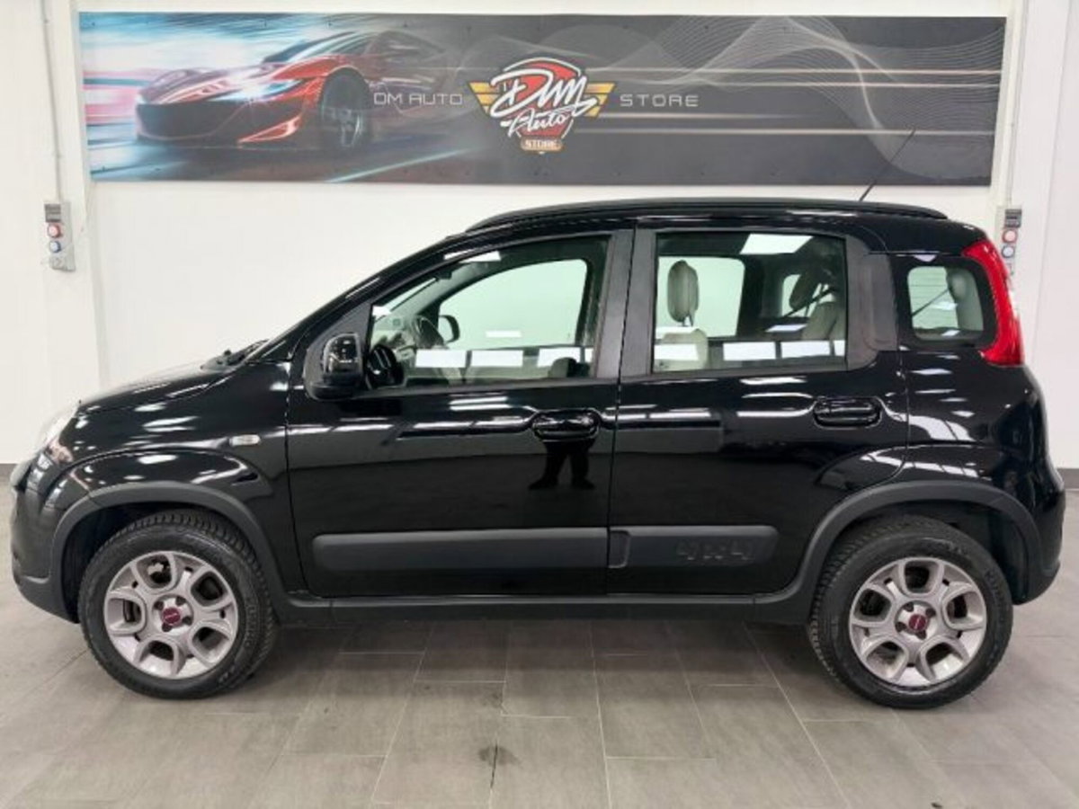 Fiat Panda 0.9 TwinAir Turbo S&S 4x4 (8)