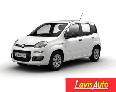 Fiat Panda 1.2 Easy usata