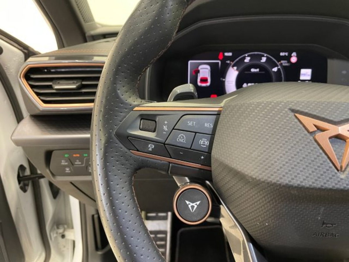 Cupra Leon Leon 2.0 tdi 150cv dsg (17)