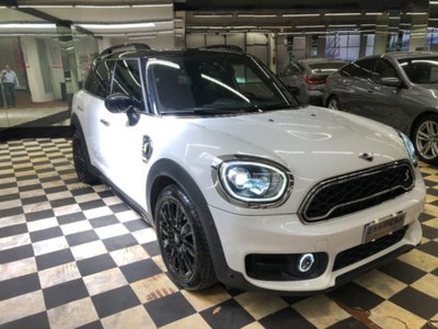 MINI Mini Countryman 1.5 Cooper Hype Countryman ALL4 Automatica (6)