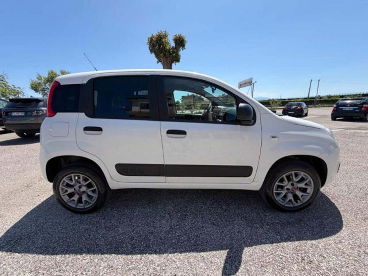 Fiat Panda 0.9 TwinAir Turbo S&S 4x4 Pop Van 2 posti (3)