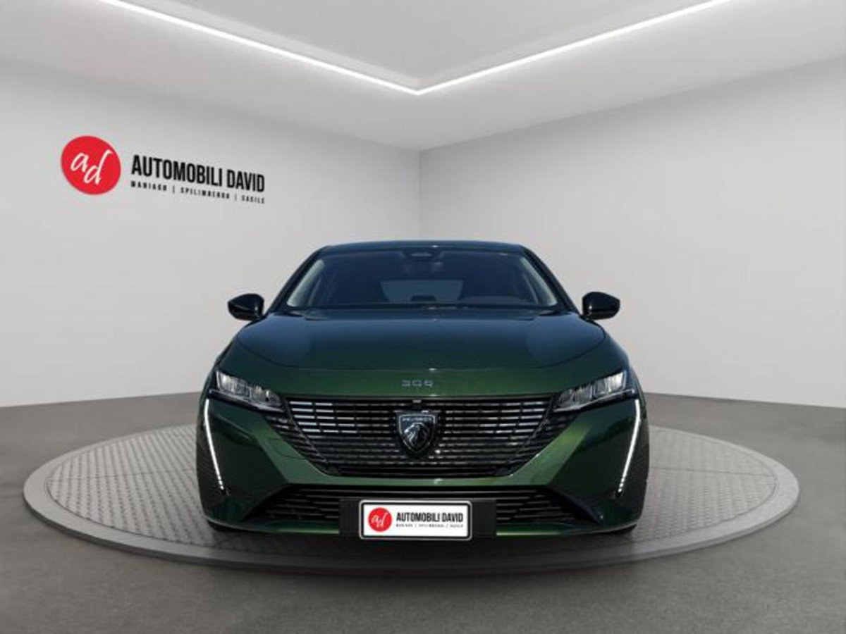 Peugeot 308 SW 1.5 bluehdi GT s&s 130cv eat8 (5)