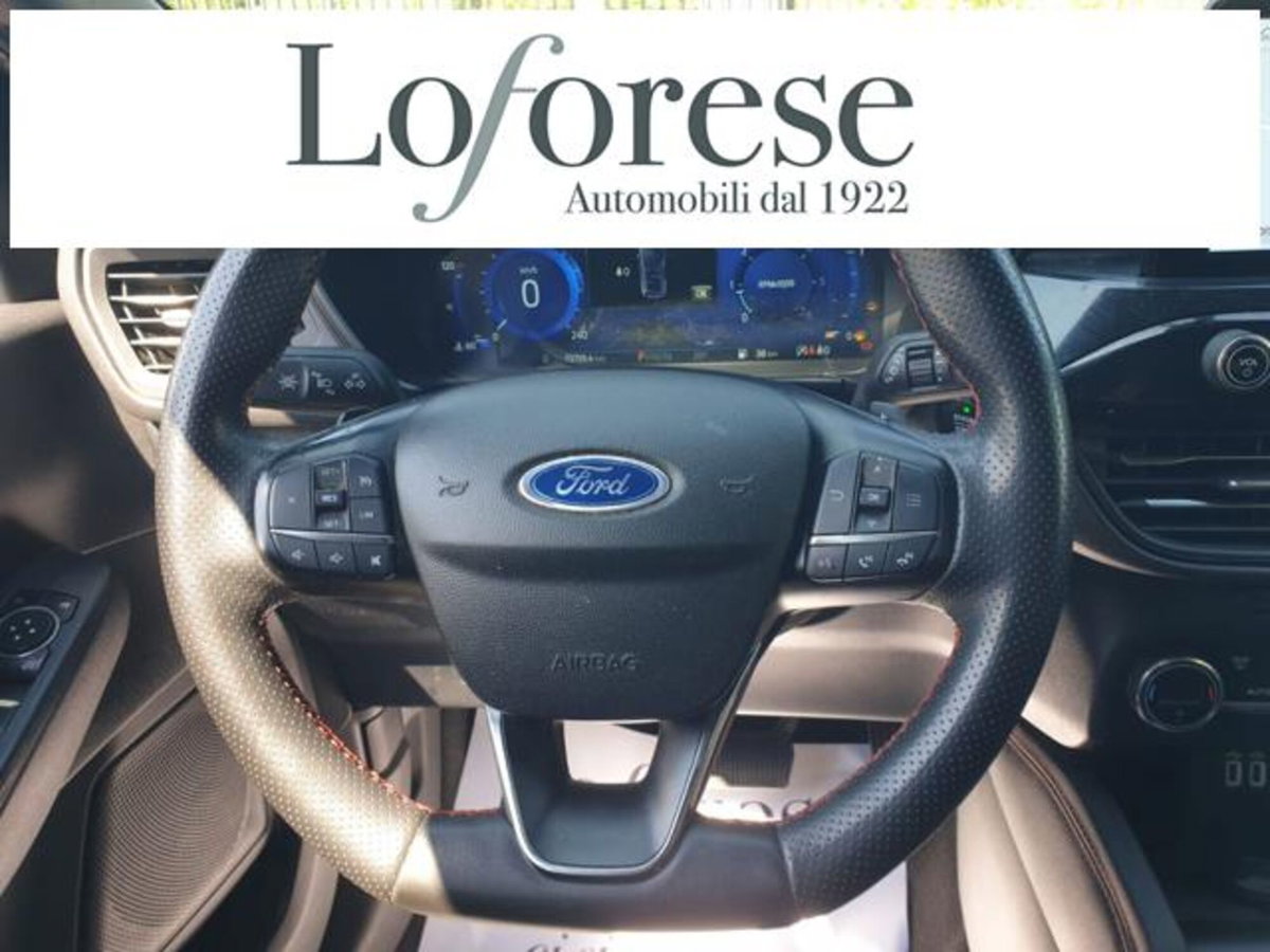 Ford Kuga 1.5 EcoBlue 120 CV 2WD ST-Line (13)