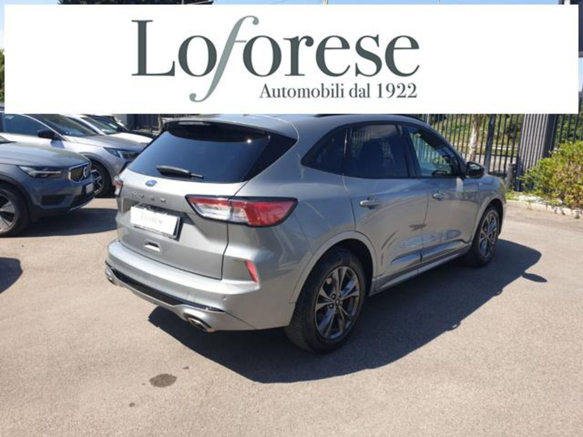 Ford Kuga 1.5 EcoBlue 120 CV 2WD ST-Line (3)