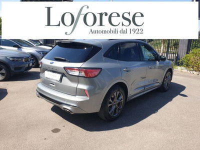 Ford Kuga 1.5 EcoBlue 120 CV 2WD ST-Line (3)