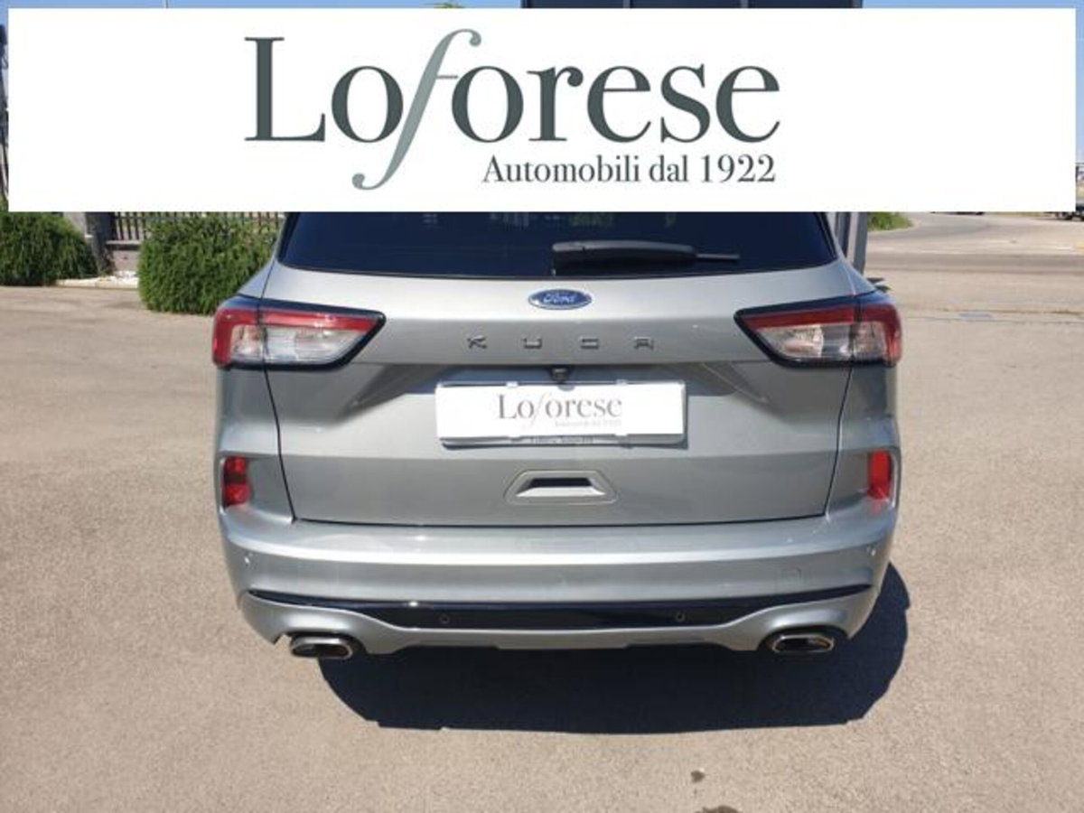 Ford Kuga 1.5 EcoBlue 120 CV 2WD ST-Line (4)