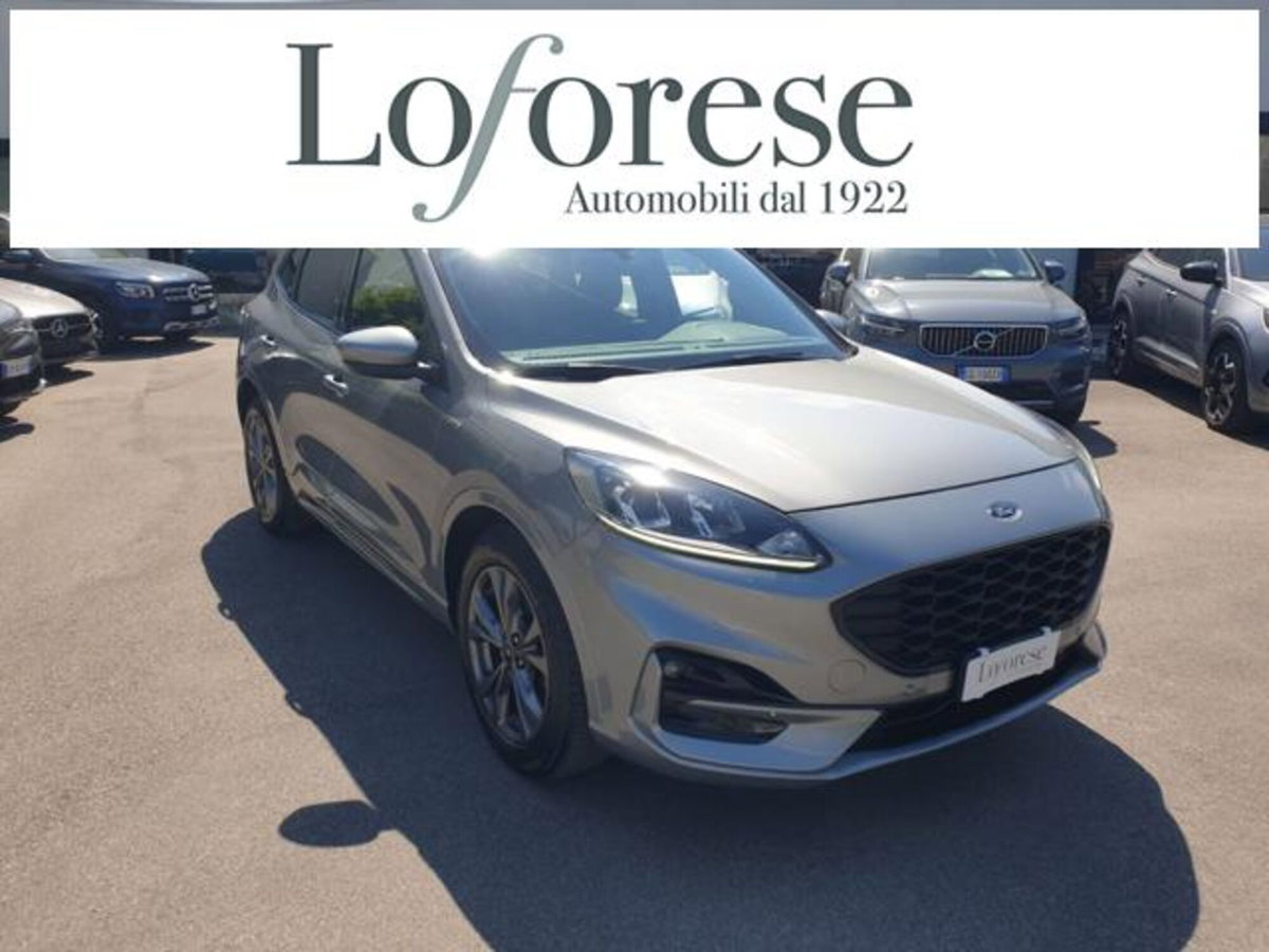 Ford Kuga 1.5 EcoBlue 120 CV 2WD ST-Line (5)