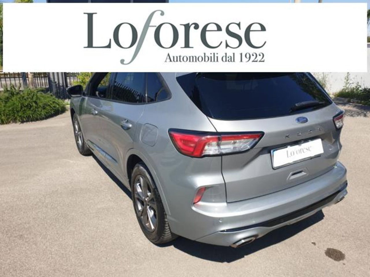Ford Kuga 1.5 EcoBlue 120 CV 2WD ST-Line (8)