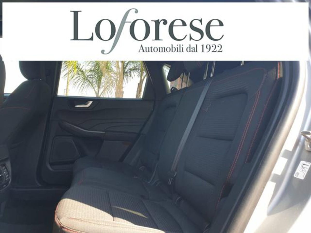 Ford Kuga 1.5 EcoBlue 120 CV 2WD ST-Line (9)