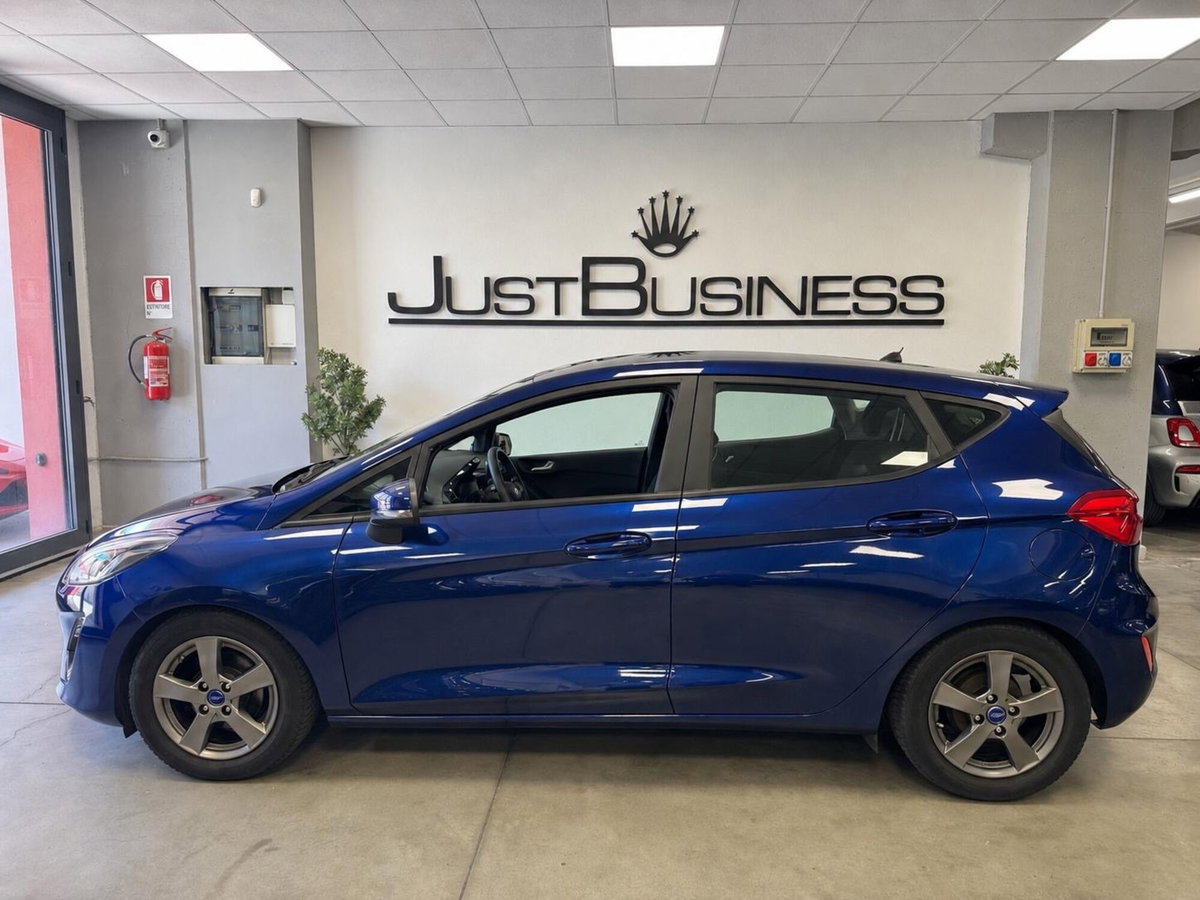 Ford Fiesta 1.0 EcoBoost 100CV 5 porte Titanium (14)
