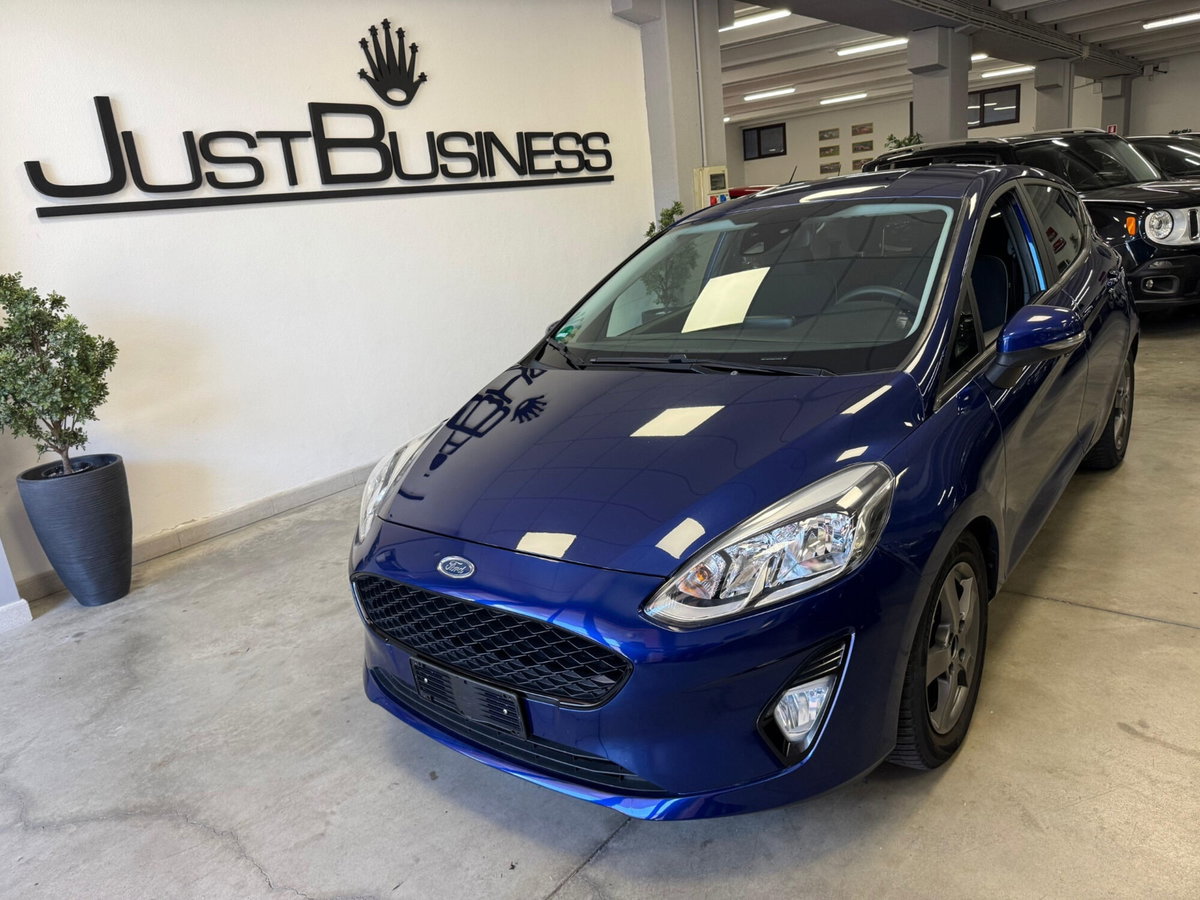 Ford Fiesta 1.0 EcoBoost 100CV 5 porte Titanium (3)