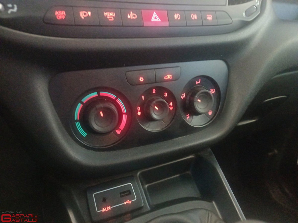 Fiat Doblò Furgone 1.6 MJT 120CV PL-TA Cargo Maxi XL Lamierato (18)