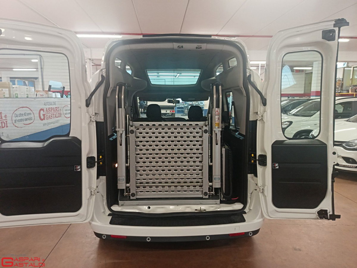 Fiat Doblò Furgone 1.4 PL-TN Cargo Maxi Lamierato SX (5)