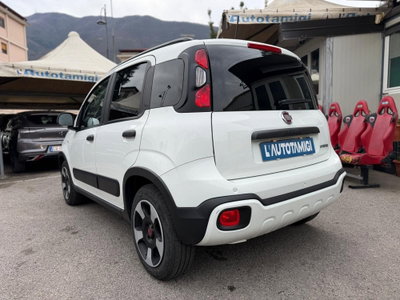 Fiat Panda Cross Cross 1.0 FireFly S&S Hybrid (4)