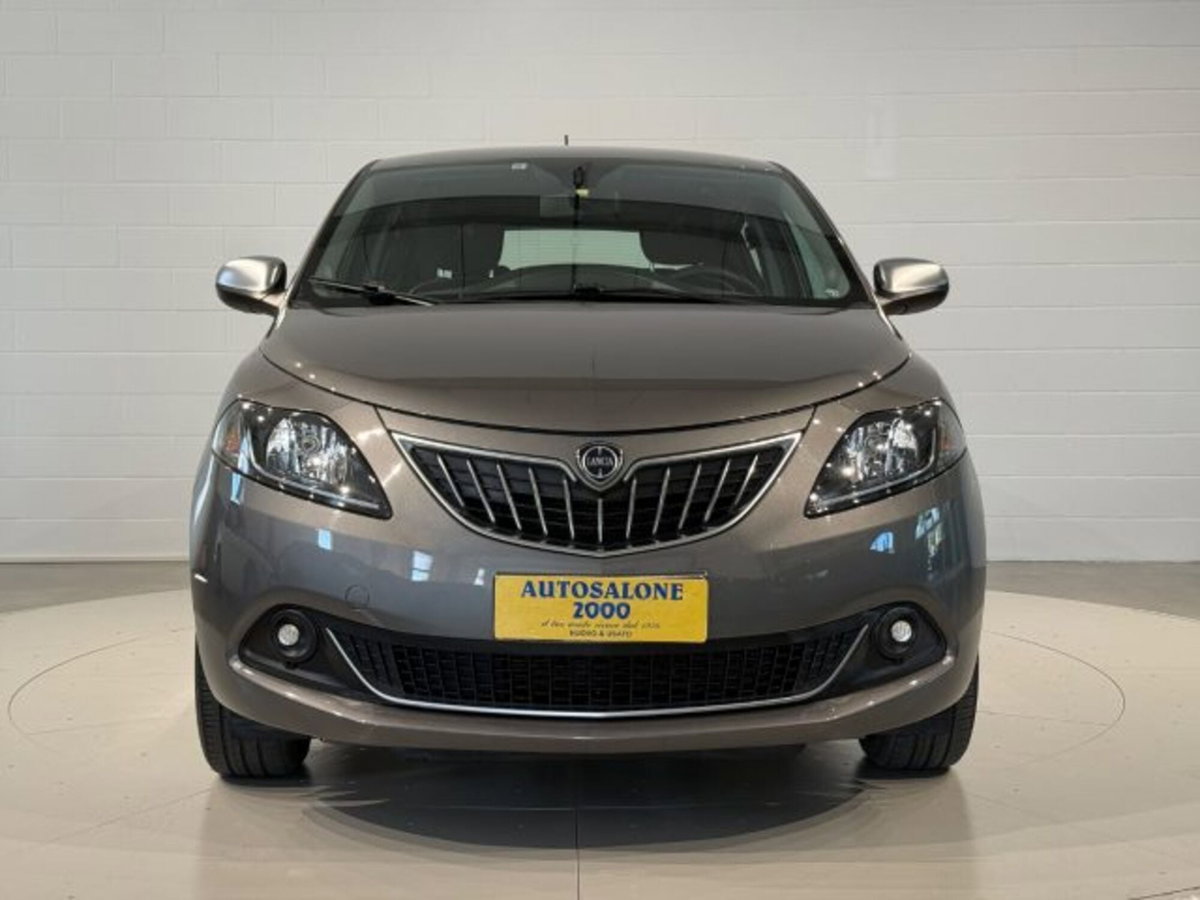 Lancia Ypsilon 1.2 69 CV 5 porte GPL Ecochic Alberta Ferretti (8)