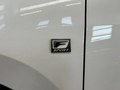 Lexus NX Hybrid 4WD F-Sport (12)