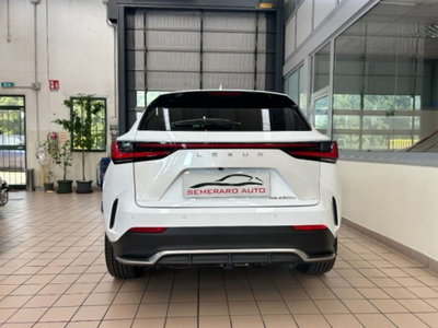 Lexus NX Hybrid 4WD F-Sport (13)