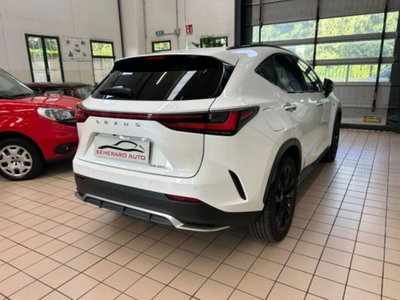 Lexus NX Hybrid 4WD F-Sport (15)