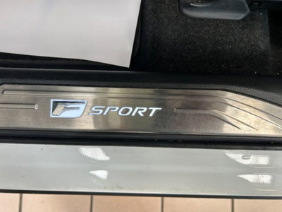 Lexus NX Hybrid 4WD F-Sport (17)