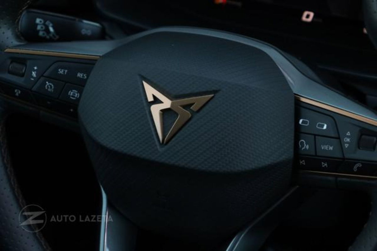 Cupra Formentor Formentor 2.0 TDI (10)