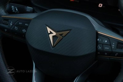 Cupra Formentor Formentor 2.0 TDI (10)