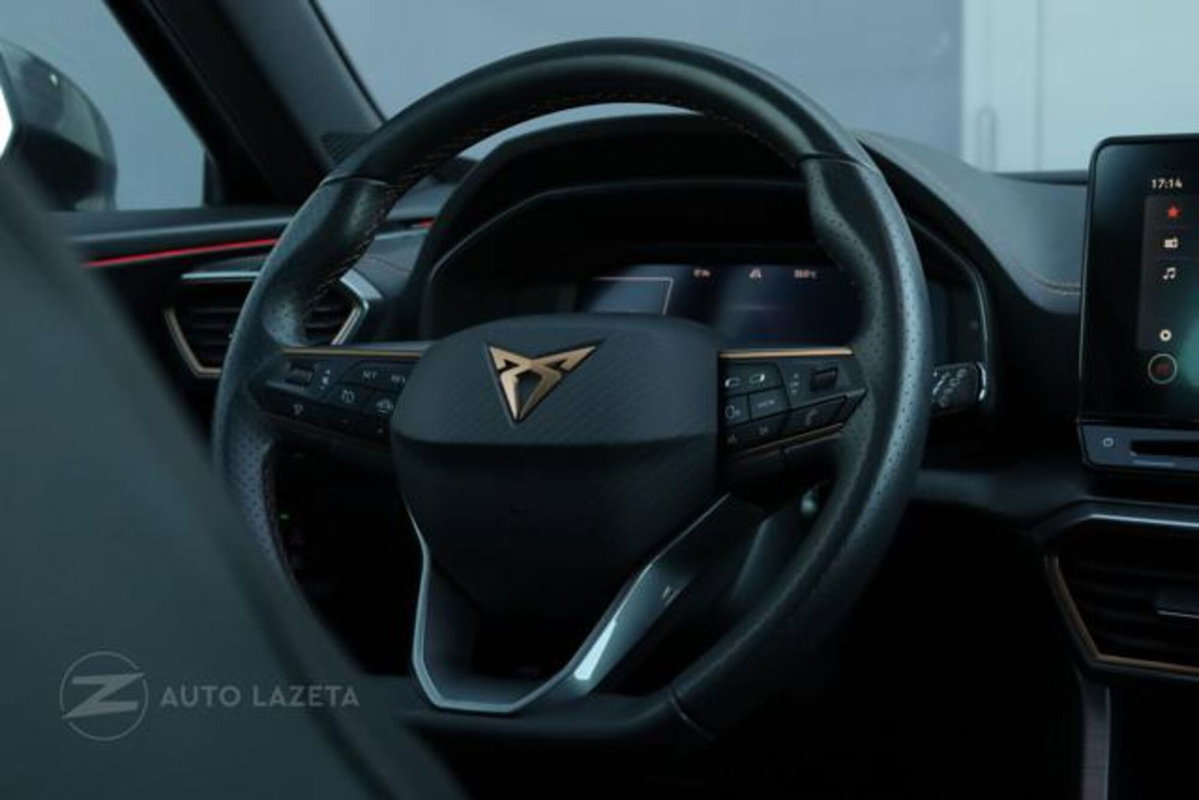 Cupra Formentor Formentor 2.0 TDI (11)