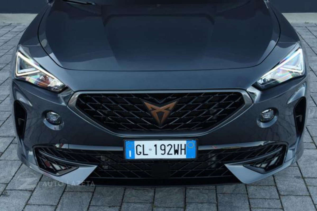 Cupra Formentor Formentor 2.0 TDI (14)
